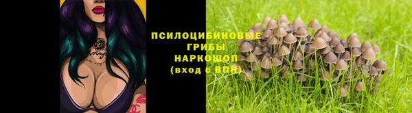 таблы Пересвет