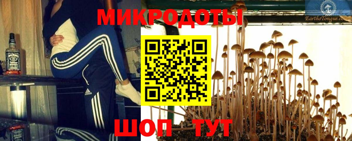 Псилоцибиновые грибы мицелий Кропоткин